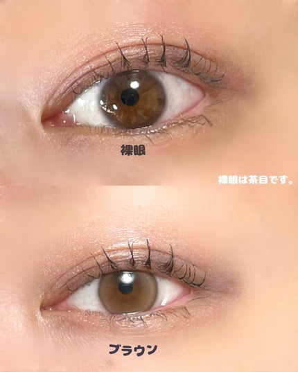 Dewy Kristin/Hapa kristin/カラーコンタクトレンズを使ったクチコミ(4枚目)