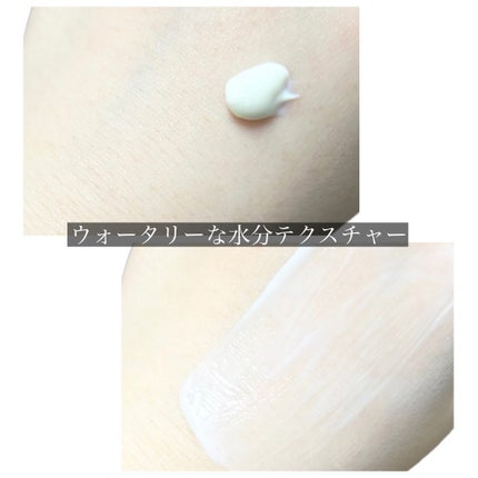 モリンガ セラミド コラーゲン エンリッチド モイスチャライザー/heimish/乳液を使ったクチコミ(7枚目)