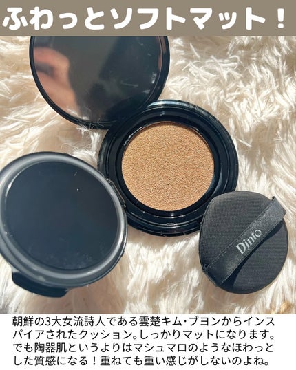 ブラーフィニシュブラッシャー/Dinto/パウダーチークを使ったクチコミ(3枚目)