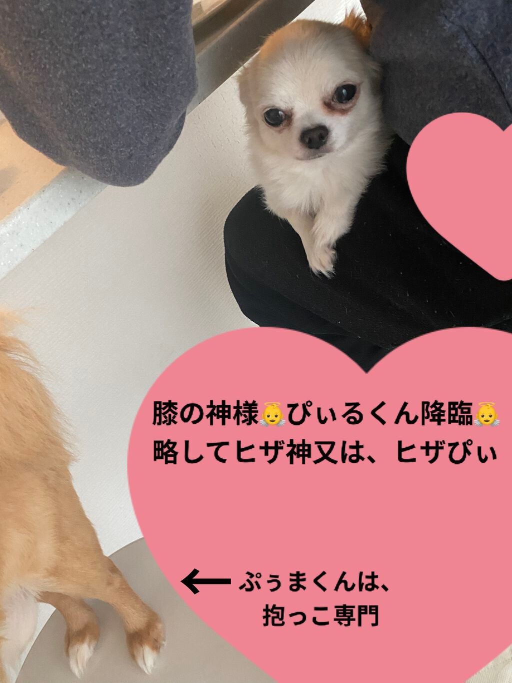 ディオリフィック グリッター トップ コート/Dior/ネイルトップコートを使ったクチコミ(7枚目)