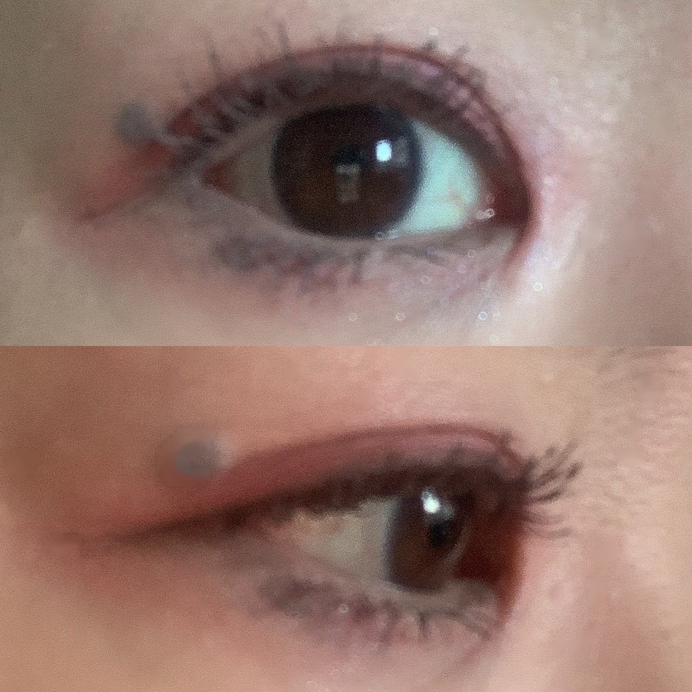 マットフローティングマスカラ/KATE/マスカラを使ったクチコミ(2枚目)