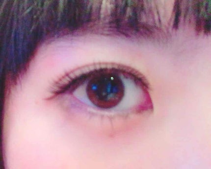 Angelcolor Bambi Series 1day /AngelColor/ワンデー(1DAY)カラコンを使ったクチコミ(2枚目)