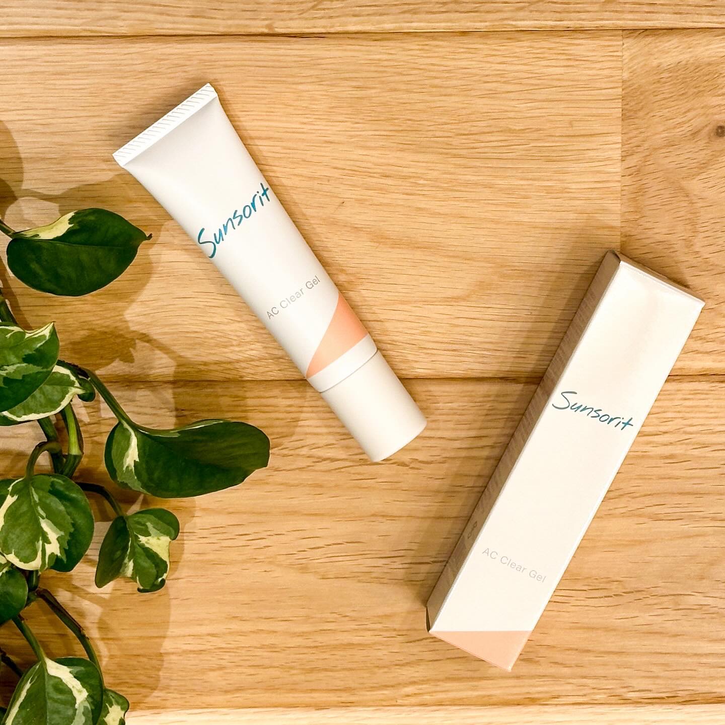 ACクリアウォータリーエッセンス/サンソリット/化粧水を使ったクチコミ（1枚目）