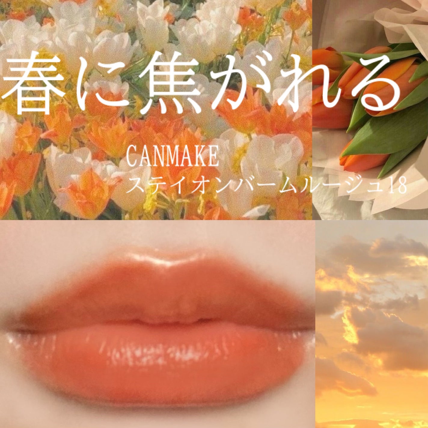 ステイオンバームルージュ/キャンメイク/口紅を使ったクチコミ(1枚目)