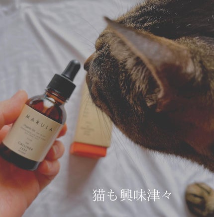 ねこむす on LIPS 「オイルマッサージ大好きな私。リラックスしたい時、スキンケアの仕..」(4枚目)