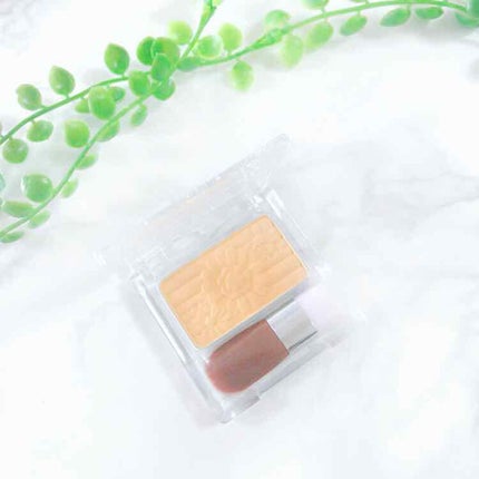 【旧品】パウダーチークス/キャンメイク/パウダーチークを使ったクチコミ(1枚目)