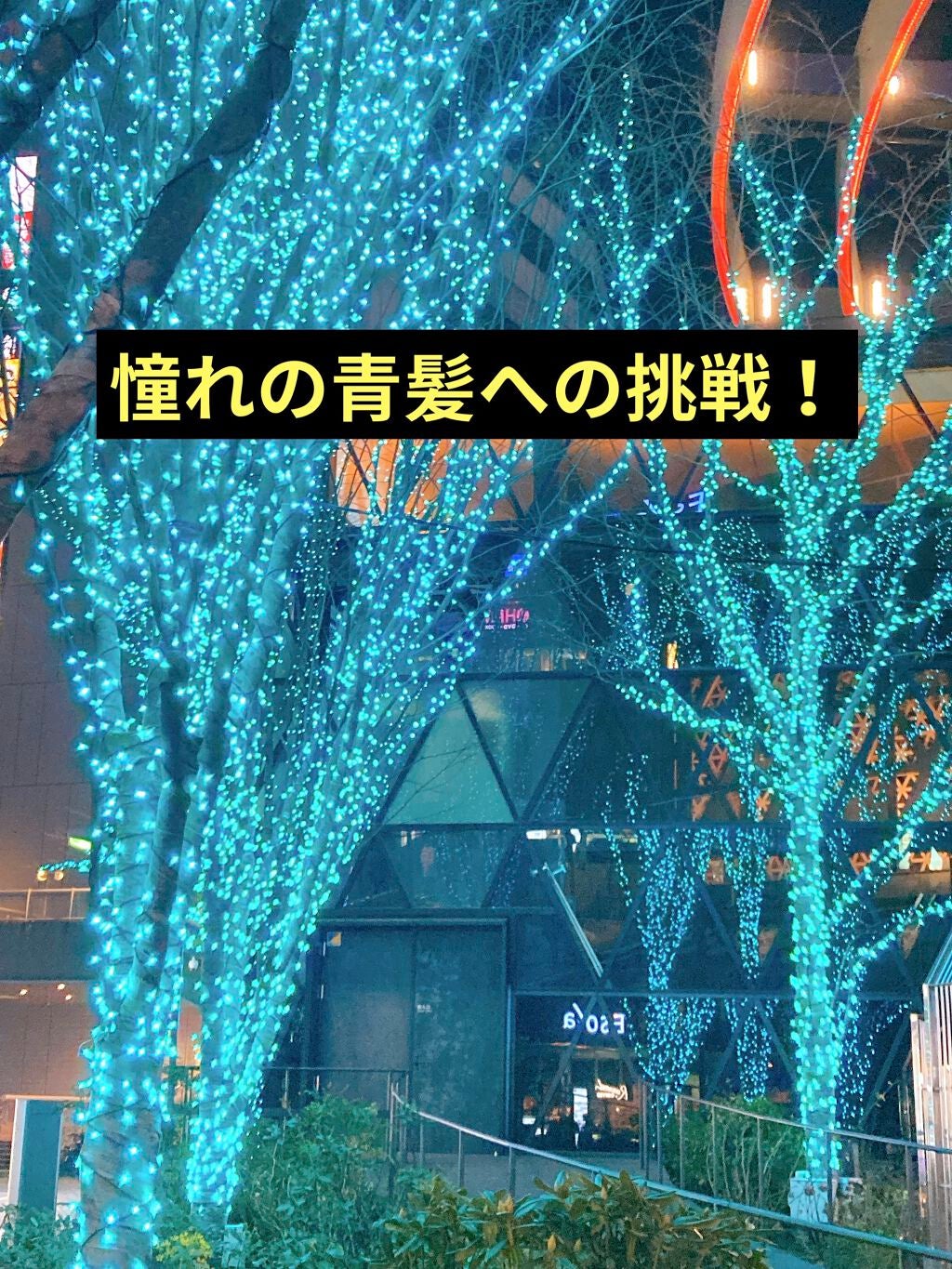 エンシェールズカラーバター/エンシェールズ/ヘアカラーを使ったクチコミ(1枚目)