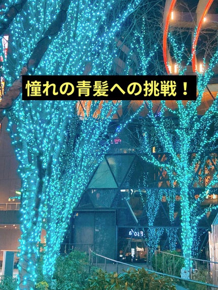エンシェールズカラーバター/エンシェールズ/ヘアカラーを使ったクチコミ(1枚目)