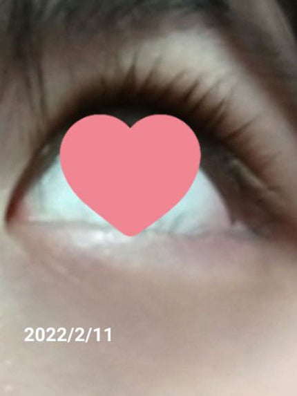 ウォータリング アイラッシュセラム/ヒロインメイク/まつげ美容液を使ったクチコミ(7枚目)