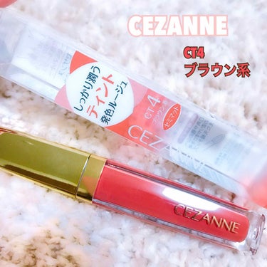 カラーティントリップ CT4 ブラウン系/CEZANNE/口紅を使ったクチコミ（1枚目）