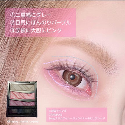 パーツリサイズシャドウ/KATE/アイシャドウパレットを使ったクチコミ(3枚目)