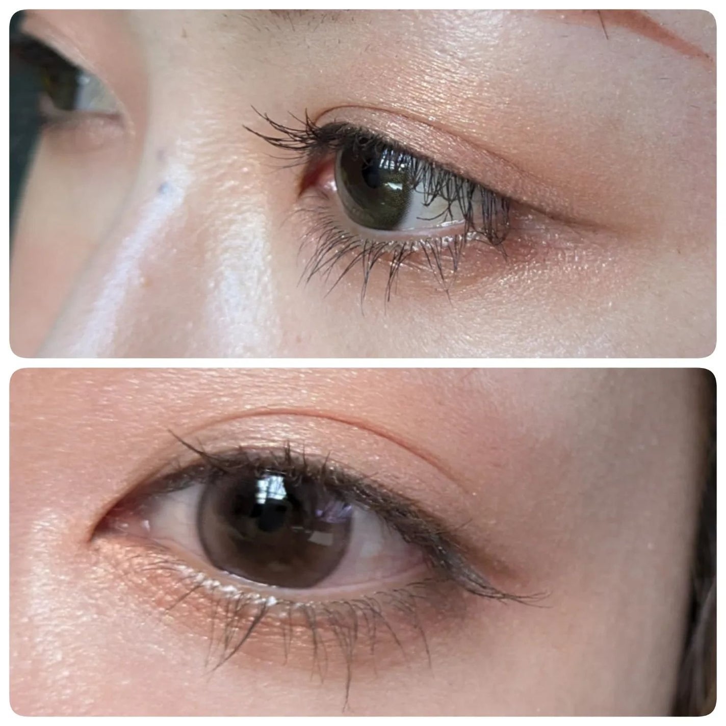 ドラマティックスタイリングアイズS/マキアージュ/アイシャドウパレットを使ったクチコミ(3枚目)