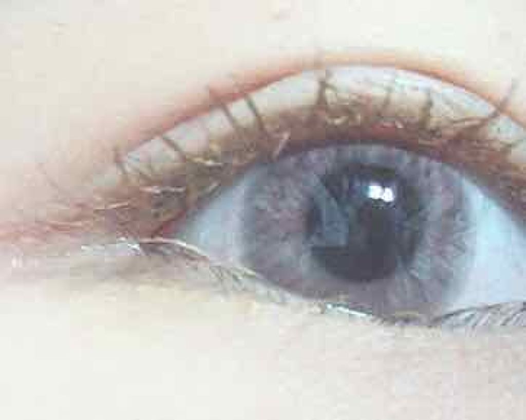 レイヤードルックマスカラ/キャンメイク/マスカラを使ったクチコミ（2枚目）