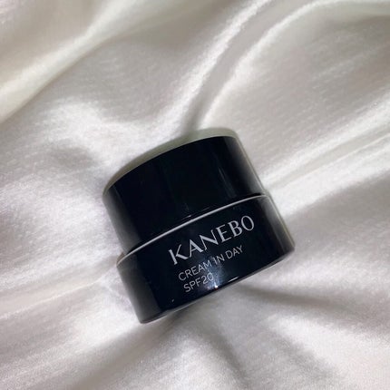 クリーム イン デイ/KANEBO/フェイスクリームを使ったクチコミ(2枚目)