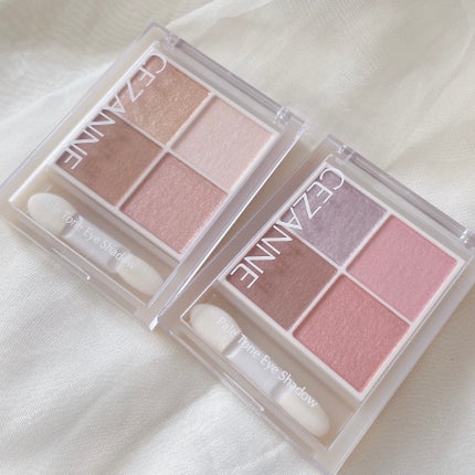 ペールトーンアイシャドウ/CEZANNE/アイシャドウを使ったクチコミ(6枚目)