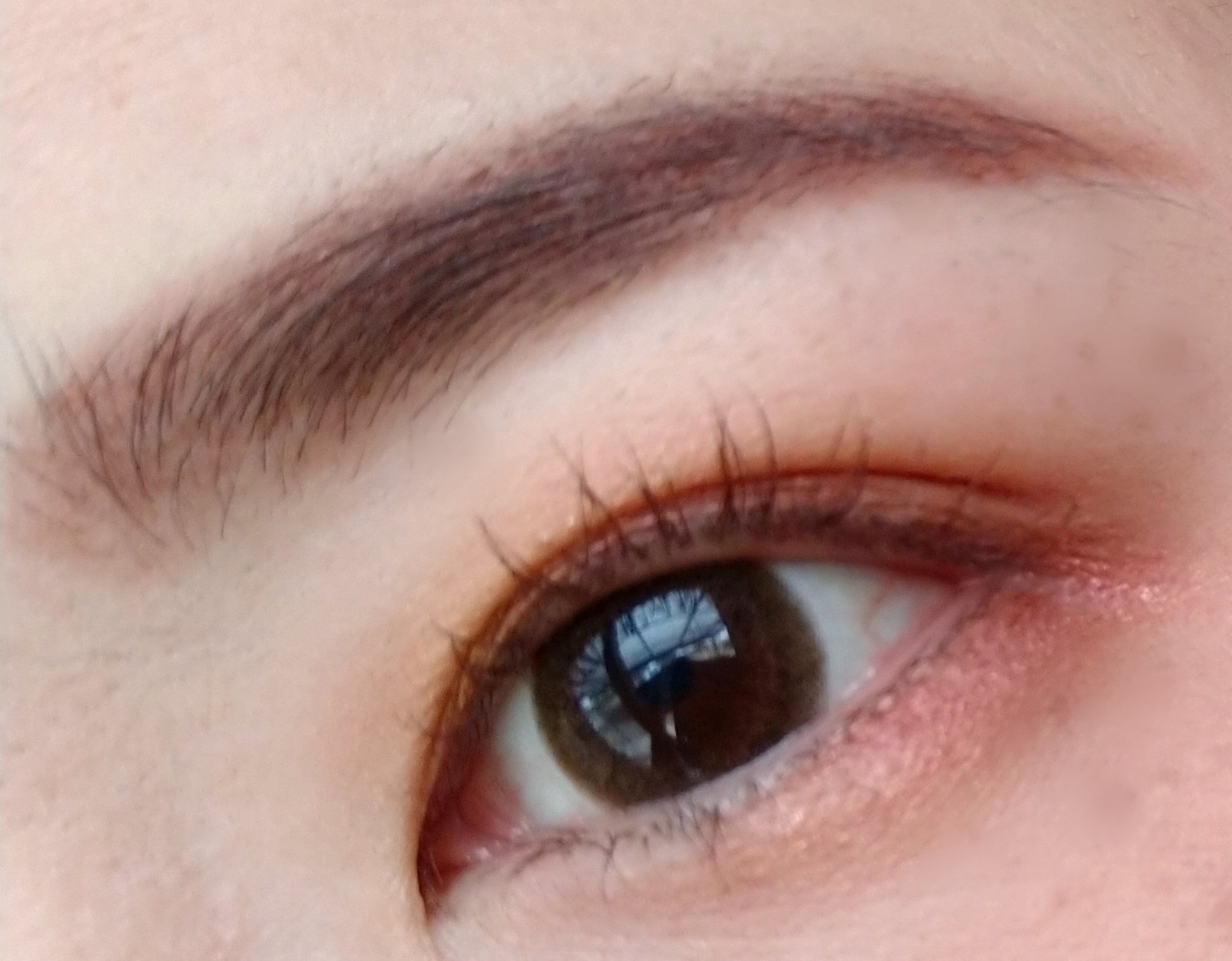 アイシャドウ × 8 イヤー オブ グラム/M・A・C/アイシャドウパレットを使ったクチコミ（2枚目）