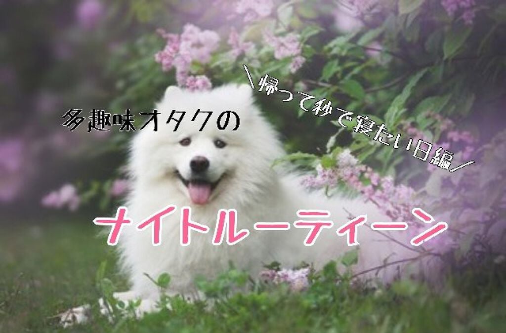 ハトムギ化粧水(ナチュリエ スキンコンディショナー R )/ナチュリエ/化粧水を使ったクチコミ(1枚目)