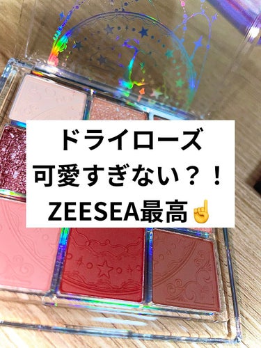 クォーツ 9色アイシャドウパレット（ドリームランドアイシャドウ）/ZEESEA/アイシャドウパレットを使ったクチコミ（1枚目）