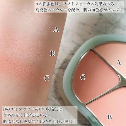 TIMAGE 3色チークパレット/TIMAGE/パウダーチークを使ったクチコミ(3枚目)