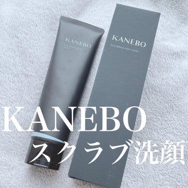 肌質◻️イエベ・健康的な色・脂性肌
髪質◻️くせっ毛・硬め太め
୨୧┈┈┈┈┈┈┈┈┈┈┈┈┈┈┈┈┈ ୨୧ 
Product information】
KANEBO
スクラビング　マッド　ウォッシュ
