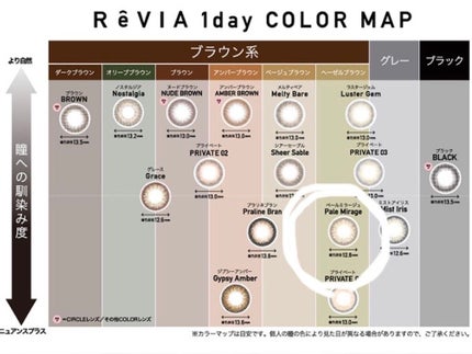 ReVIA 1day/ReVIA/ワンデー(1DAY)カラコンを使ったクチコミ(3枚目)