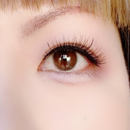 プティパレットアイズ(マットタイプ)/キャンメイク/パウダーアイシャドウを使ったクチコミ(6枚目)