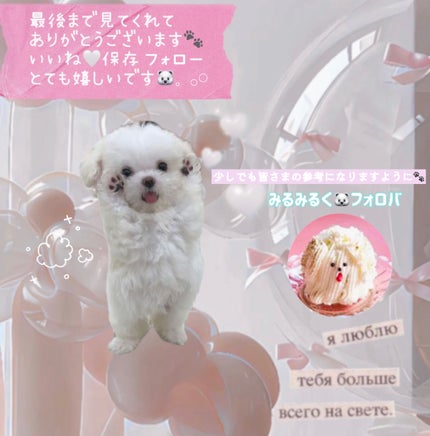 グロウフルールチークス(ブレンドタイプ)/キャンメイク/パウダーチークを使ったクチコミ(4枚目)