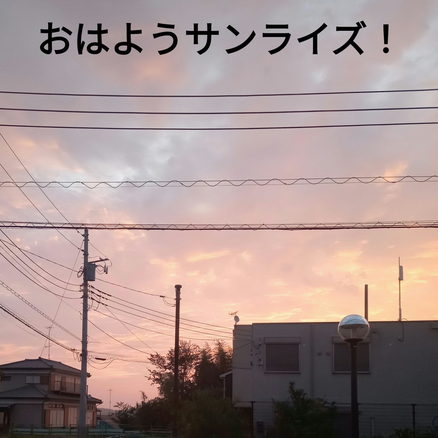 毎日の腸活コーヒー/ブレンディ/ドリンクを使ったクチコミ(1枚目)