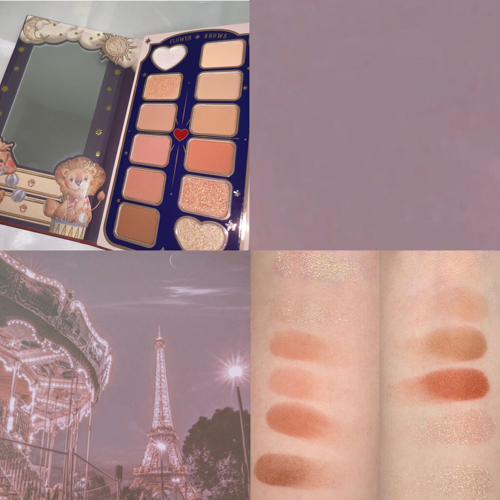 サーカスシリーズ12色アイシャドウパレット   01 Gorgeous Adventure/FlowerKnows/アイシャドウパレットを使ったクチコミ（2枚目）