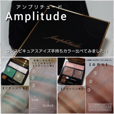 コンスピキュアス アイズ/Amplitude/アイシャドウパレットを使ったクチコミ（6枚目）