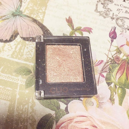 プロ シングル シャドウ/CLIO/単色アイシャドウを使ったクチコミ(1枚目)