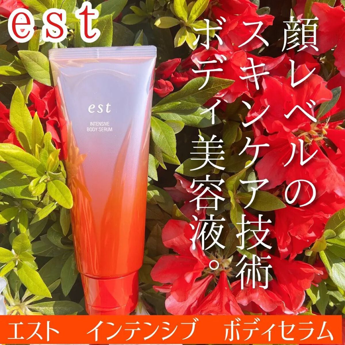 エスト インテンシブ ボディセラム/est/ボディクリームを使ったクチコミ(1枚目)