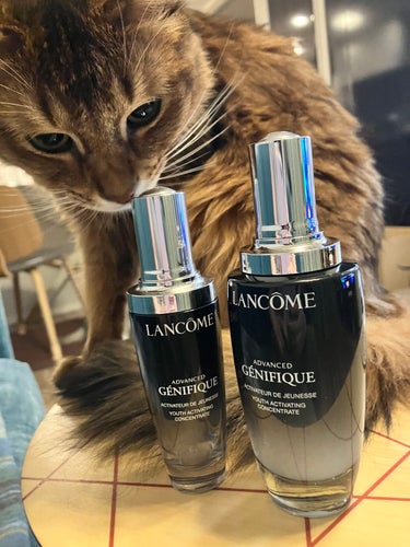 LANCOME ジェニフィックアドバンストN 50ml