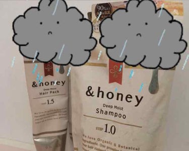 ディープモイスト ヘアパック1.5/&honey/洗い流すヘアトリートメントを使ったクチコミ（1枚目）