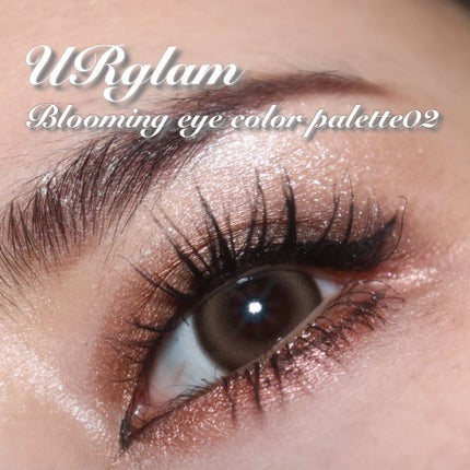 UR GLAM BLOOMING EYE COLOR PALETTE/U R GLAM/アイシャドウパレットを使ったクチコミ(1枚目)