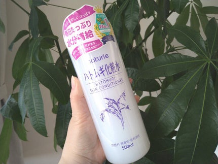 ハトムギ化粧水(ナチュリエ スキンコンディショナー R )/ナチュリエ/化粧水を使ったクチコミ(5枚目)