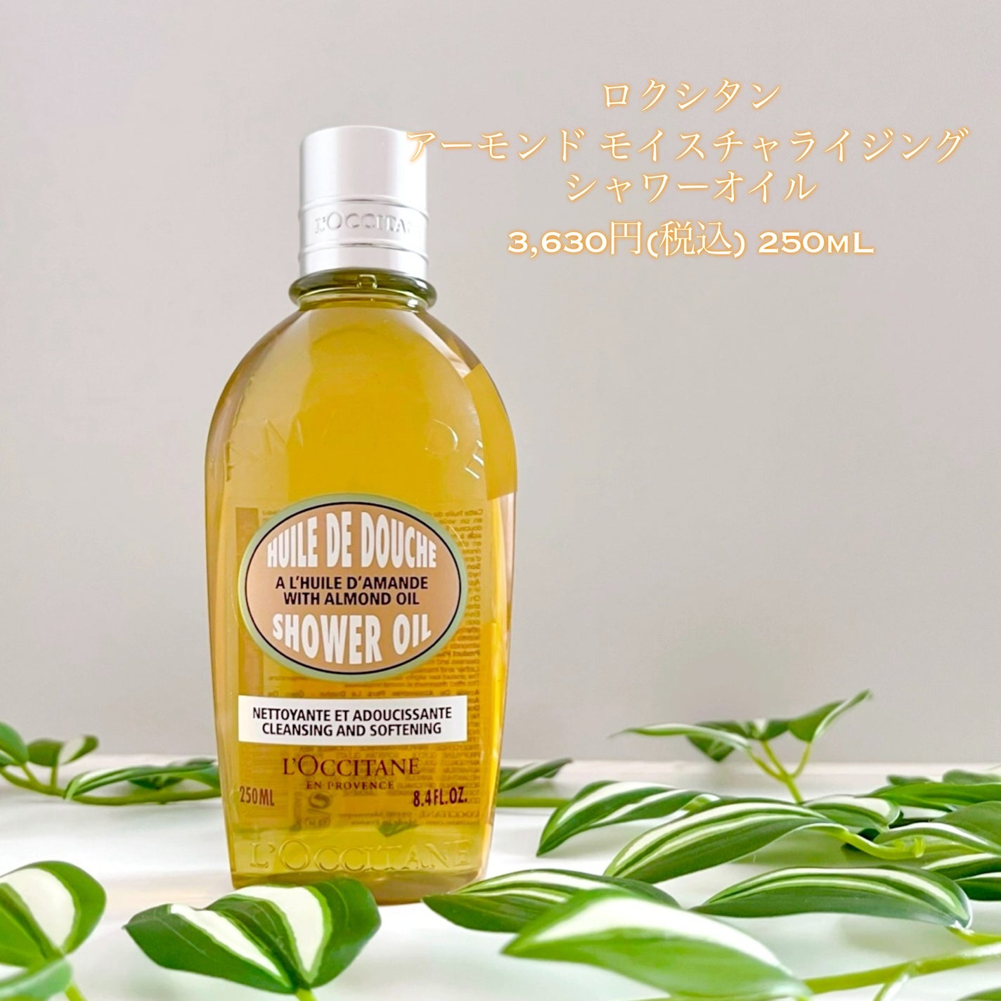 アーモンド モイスチャライジングシャワーオイル/L'OCCITANE/ボディソープを使ったクチコミ(2枚目)