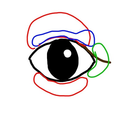 パーフェクトマルチアイズ/キャンメイク/アイシャドウパレットを使ったクチコミ(2枚目)