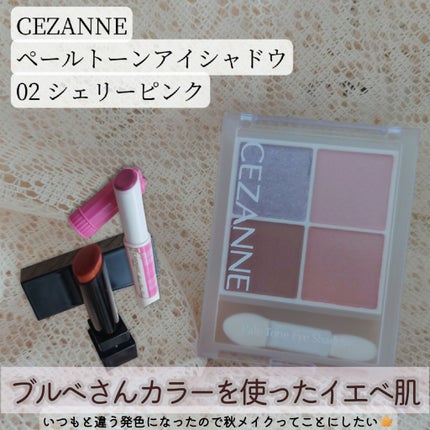 ケイト リップモンスター/KATE/口紅を使ったクチコミ(1枚目)