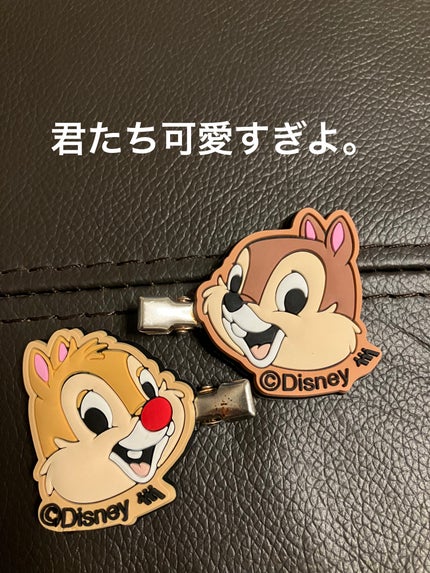 ヘアクリップ/セリア/ヘアアクセサリーを使ったクチコミ(1枚目)