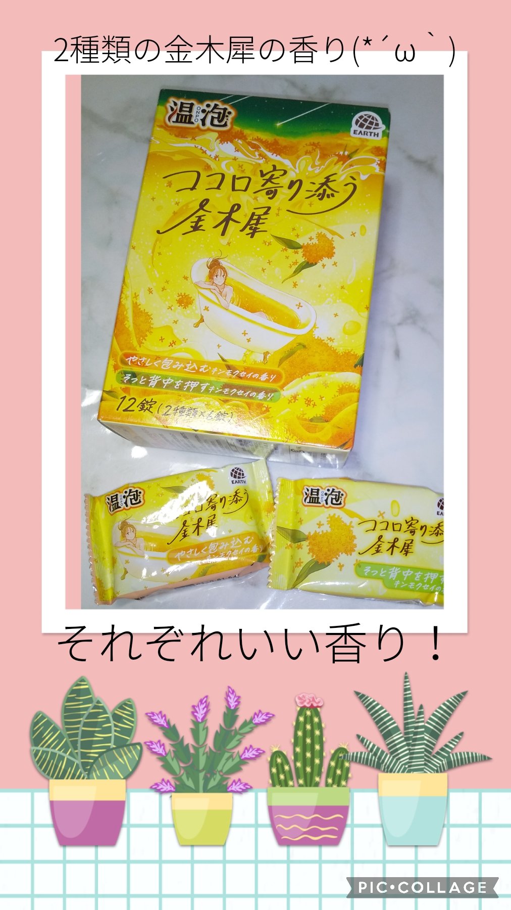 温泡 ココロ寄り添う金木犀/温泡/炭酸系入浴剤を使ったクチコミ（1枚目）