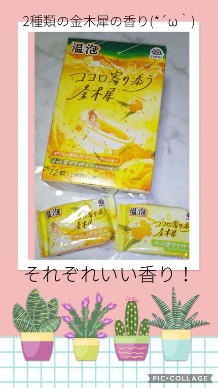 温泡 ココロ寄り添う金木犀/温泡/炭酸系入浴剤を使ったクチコミ(1枚目)