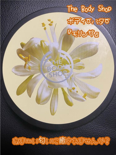 ボディバター モリンガ /THE BODY SHOP/ボディクリームを使ったクチコミ（1枚目）