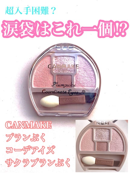 プランぷくコーデアイズ/キャンメイク/パウダーアイシャドウを使ったクチコミ(1枚目)