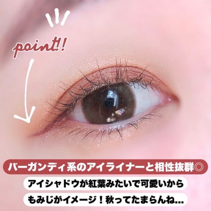 ニュアンスカラーアイズ/Enamor/アイシャドウパレットを使ったクチコミ(8枚目)