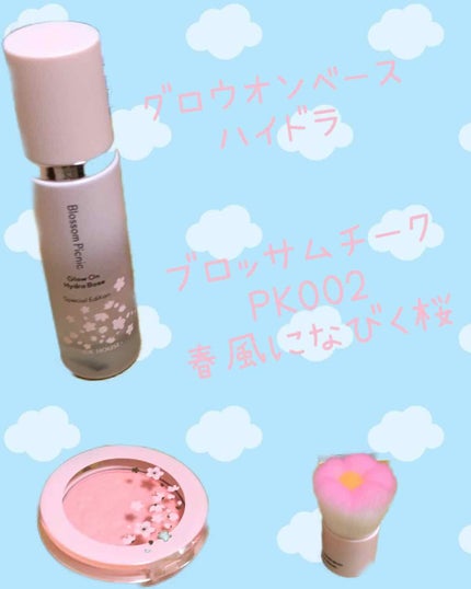 ピクニック ブロッサムチーク/ETUDE/パウダーチークを使ったクチコミ(1枚目)