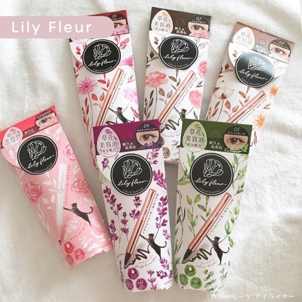 カラーミーツ アイライナーL /リリーフルール/リキッドアイライナーを使ったクチコミ(1枚目)