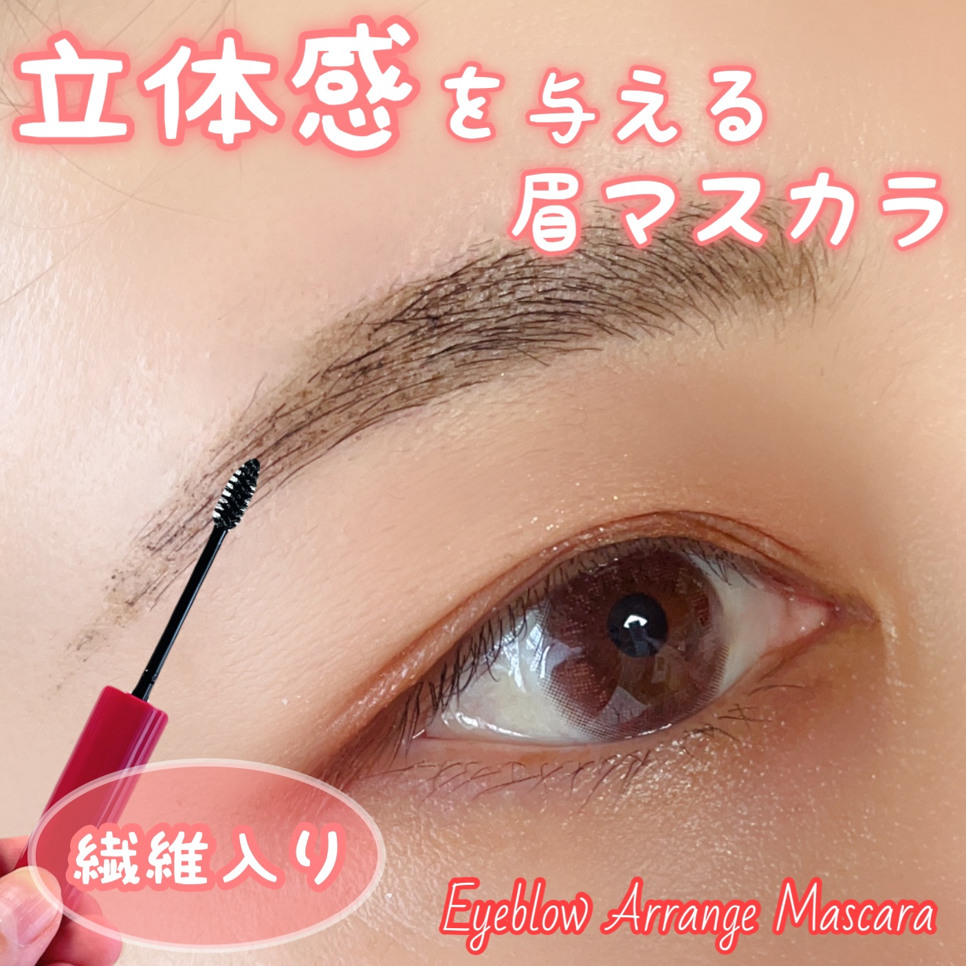 アイブロウアレンジマスカラ/エレガンス/マスカラを使ったクチコミ（1枚目）