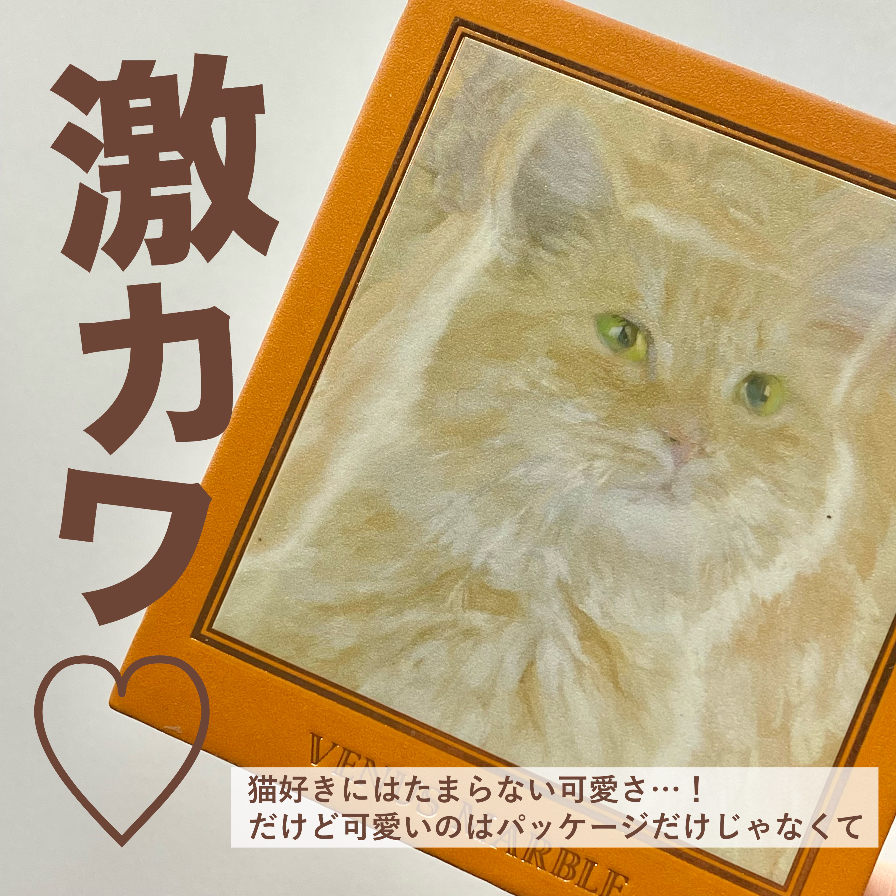 Venus Marble アイシャドウキャットシリーズ 茶トラ猫/Venus Marble/アイシャドウパレットを使ったクチコミ（2枚目）
