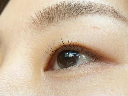 ラッシュアディクト アイラッシュコンディショニングセラム/soaddicted/まつげ美容液を使ったクチコミ(3枚目)